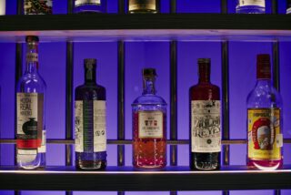 Thekenregal im Holy Taco mit verschiedenen Tequila‑ und Spirituosenflaschen, sanft beleuchtet.